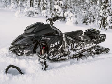 Lynx Lynx